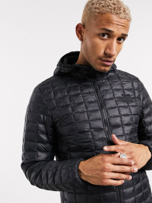 The North Face Thermoball Eco Hooded Jacket In Black