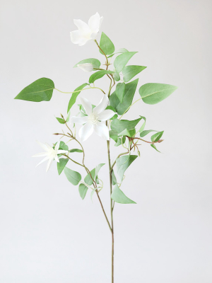 White Faux Clematis Flower Branch - 46"
