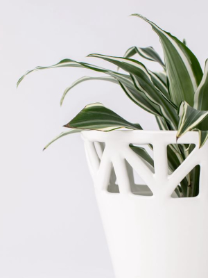 Convivial Ivory Tabletop Planter