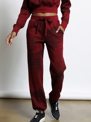 Caiman Crocodile Hyper Reality Knit Sweatpant