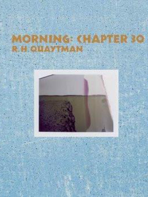 R.h. Quaytman Morning: Chapter 30 Exhibition Catalogue