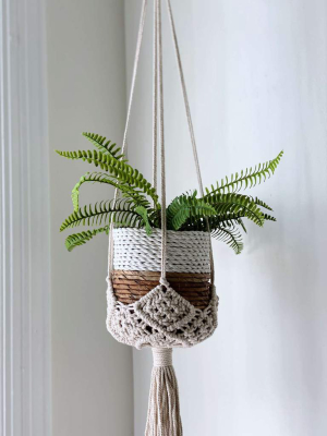 Darling Macramé Plant Hanger - Cream