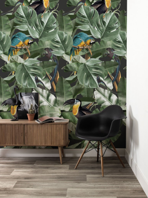 Botanical Birds Wallpaper In Black By Kek Amsterdam