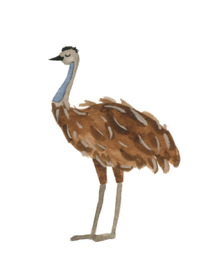 Printable Download - Ostrich