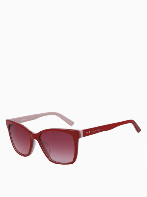 Modified Rectangle Acetate Sunglasses