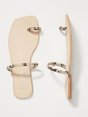 Jeffrey Campbell Darby Sandals