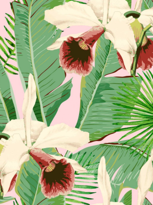 Treasure Island Wallpaper In Pink And Green From The Palm Springs Collection By Mind The Gap