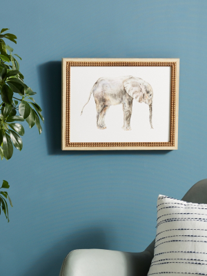 Baby Elephant Wall Art