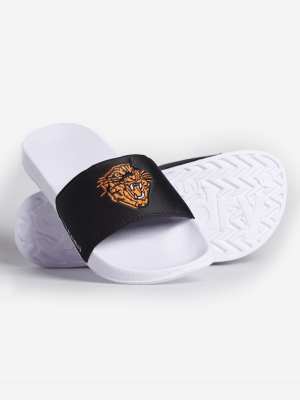 Tiger Pool Sliders