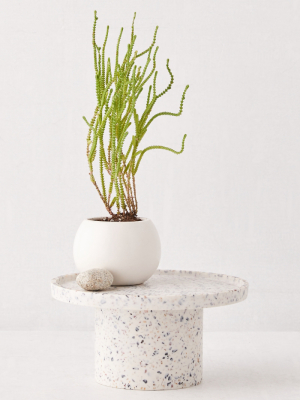 Finn Terrazzo Planter Stand