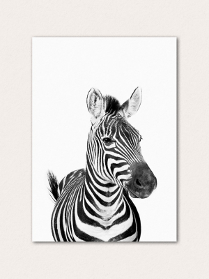 Happy Zebra Bw