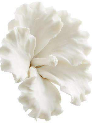 Large Primrose Wall Decor