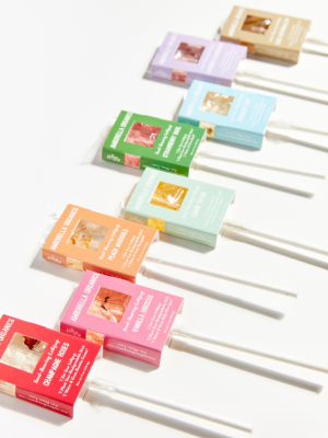Amborella Organics Garden Lover’s Seed Lollipop Gift Set