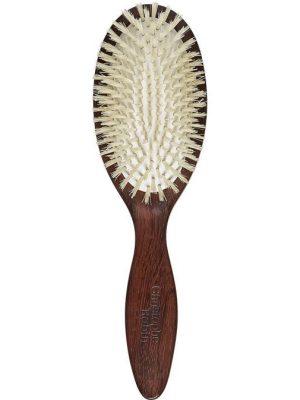 Detangling Hairbrush