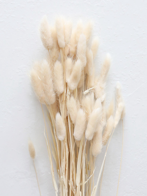 Natural Dried Bunny Tail - 18-28"