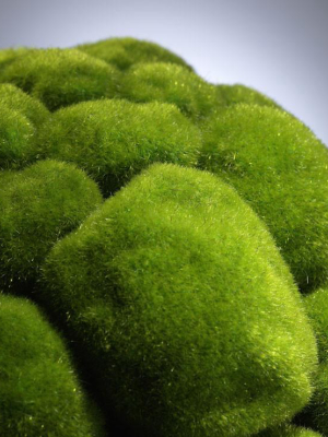 Moss Sphere In Assorted Sizes