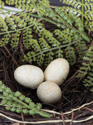 Grapevine Nest With Eggs And Fern Brown 7" - Vickerman