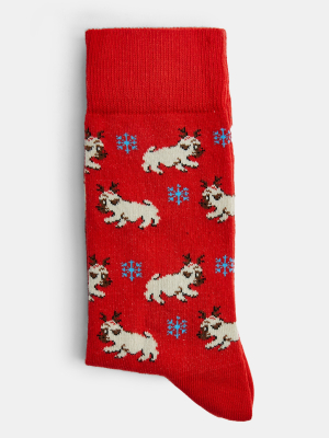 Christmas Single Red Beagle Socks