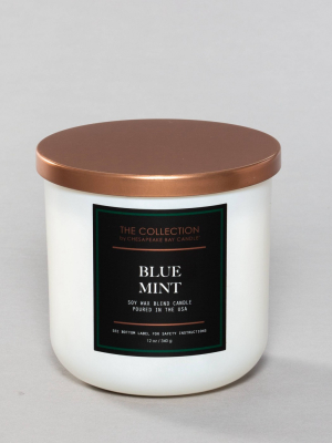 12oz Core Jar 2-wick Candle Blue Mint - Chesapeake Bay Candle