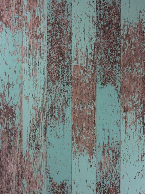 Driftwood Wallpaper In Teal From The Enchanted Gardens Collection By Osborne & Little