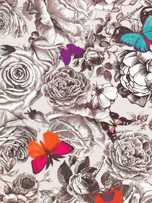 Butterfly Garden Wallpaper In Multi From The Enchanted Gardens Collection By Osborne & Little