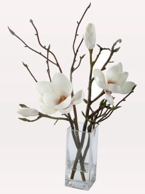 Faux Magnolia & Twigs In Vase - White