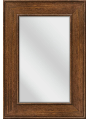 28.5" X 40.5" Coo Wood Decorative Wall Mirror - Ptm Images