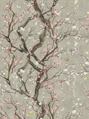 Plum Blossom Wallpaper In Silver From The Kingdom Home Collection By Milton & King