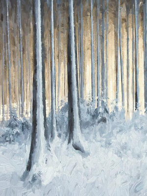 Winter Woods