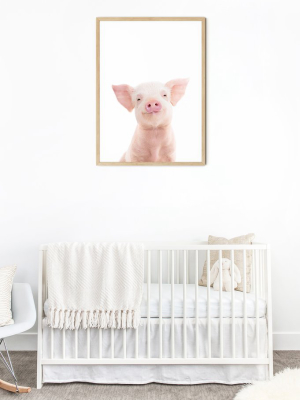 Baby Piglet