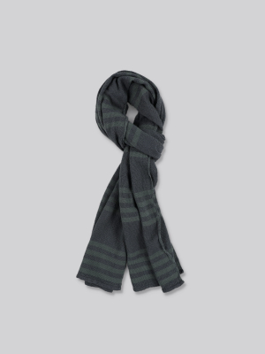 Stripped Scarf Fern