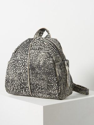 Daniella Lehavi Amadeus Backpack