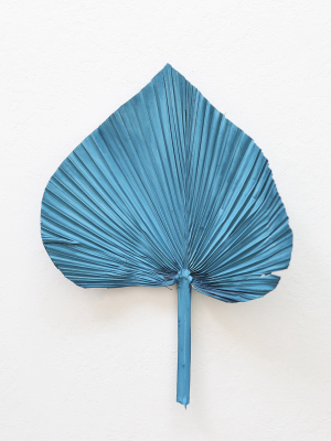 Afloral Blue Dried Palm Spear - 14-16"