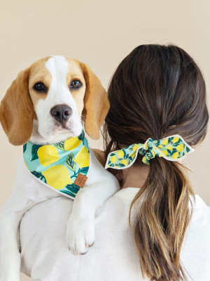 Lemon Zest Scrunchie And Bandana Set