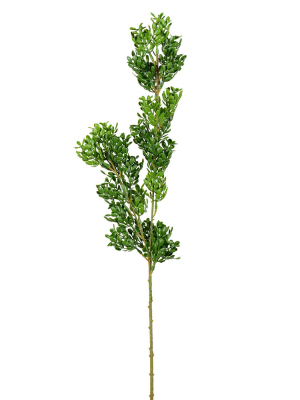 Vickerman 27" Artificial Green Boxwood Spray.