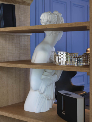 Venus Bookcase By Driade