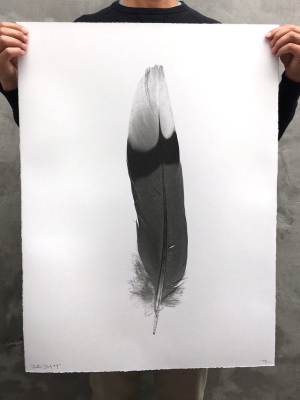 Feather Study #9