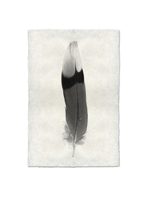 Feather #9 Print