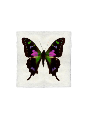 Butterfly #2 Print