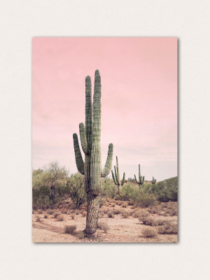 Pink Sky Desert Cactus