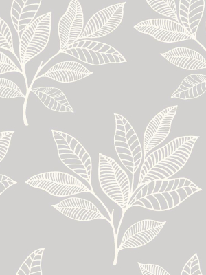 Paradise Leaves Wallpaper In Daydream Grey From The Boho Rhapsody Collection By Seabrook Wallcoverings