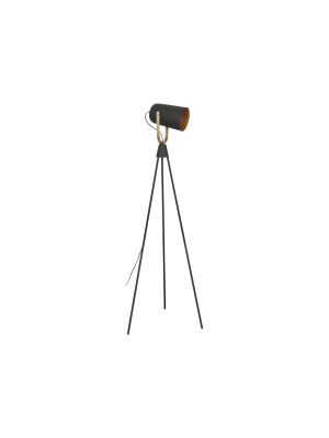 Spotlight Floor Lamp Black