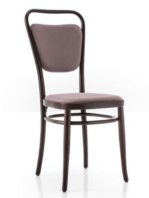 Gebruder Thonet Vienna 144 Closed Back Bentwood Side Chair (upholstered) By Gtv