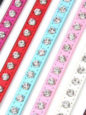 Cool To Be Cute - Pet Collars
