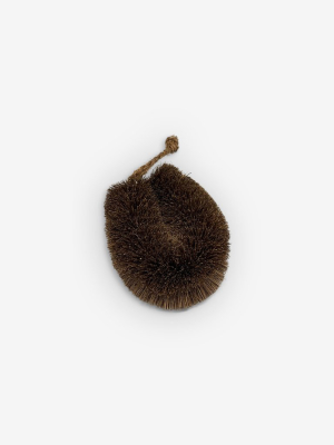 Small Oval Scrub Brush