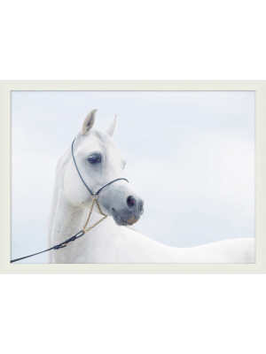 Blu Art White Horse