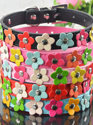 Happy Flower Pup - Pet Dog Collars (xs-l)