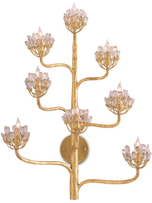 Agave Americana Wall Sconce In Various Finishes