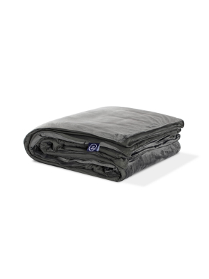 Queen 25lbs Weighted Blanket - Z By Gravity