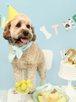 Pawty Time Banner